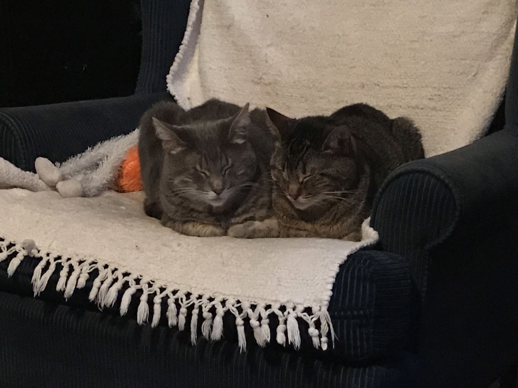 Wiggles & Wobbles